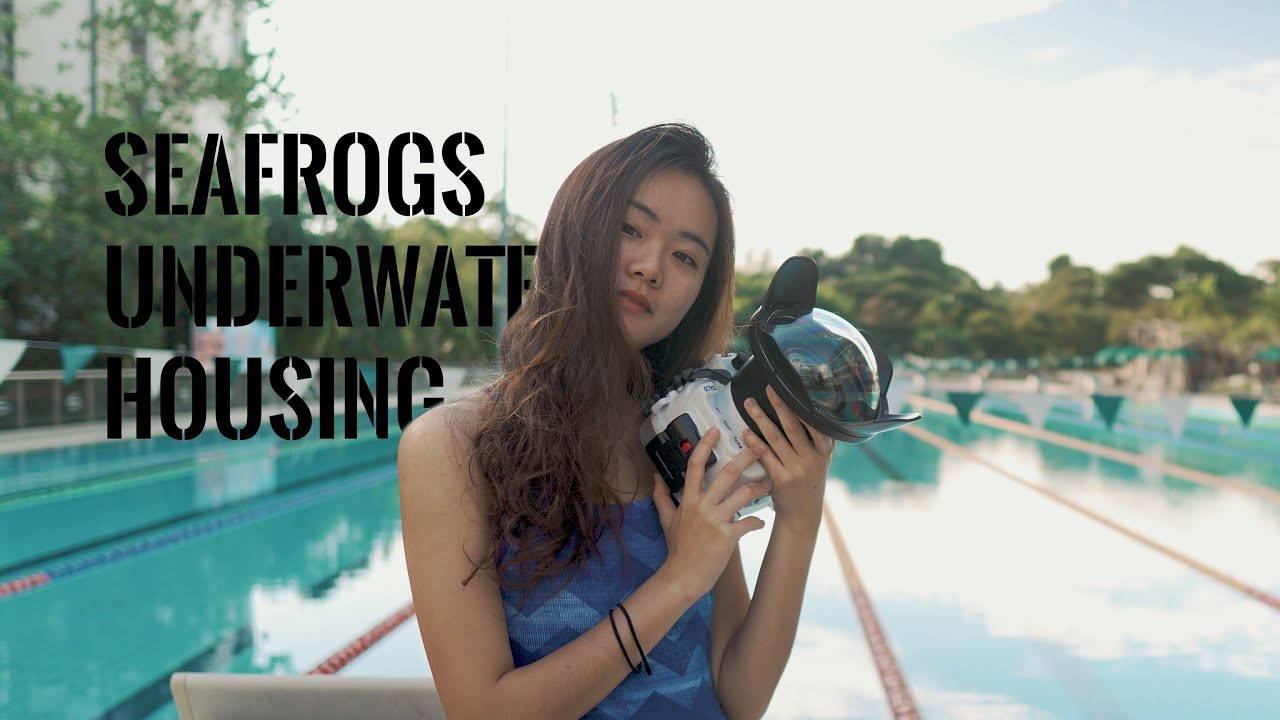 First Impressions on the Seafrogs Underwater Housing for the A7III | A Product Review