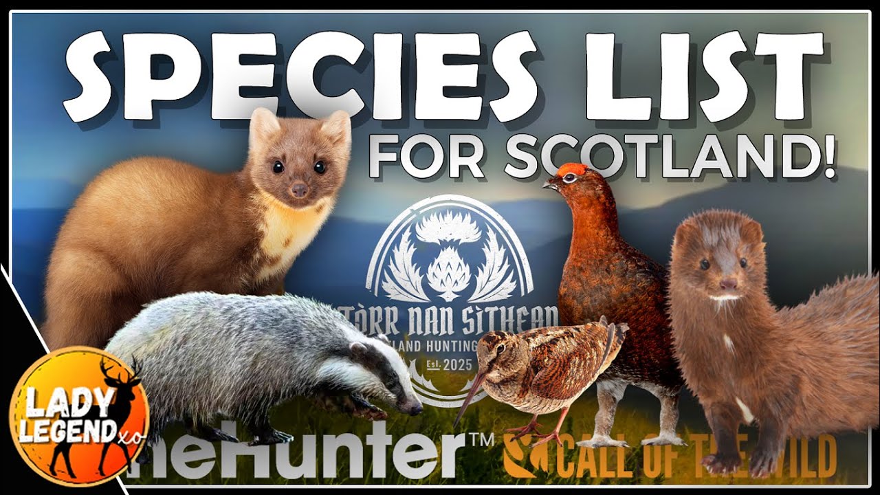 ALL 17 SPECIES in SCOTLAND - REVEALED!!! - Call of the Wild