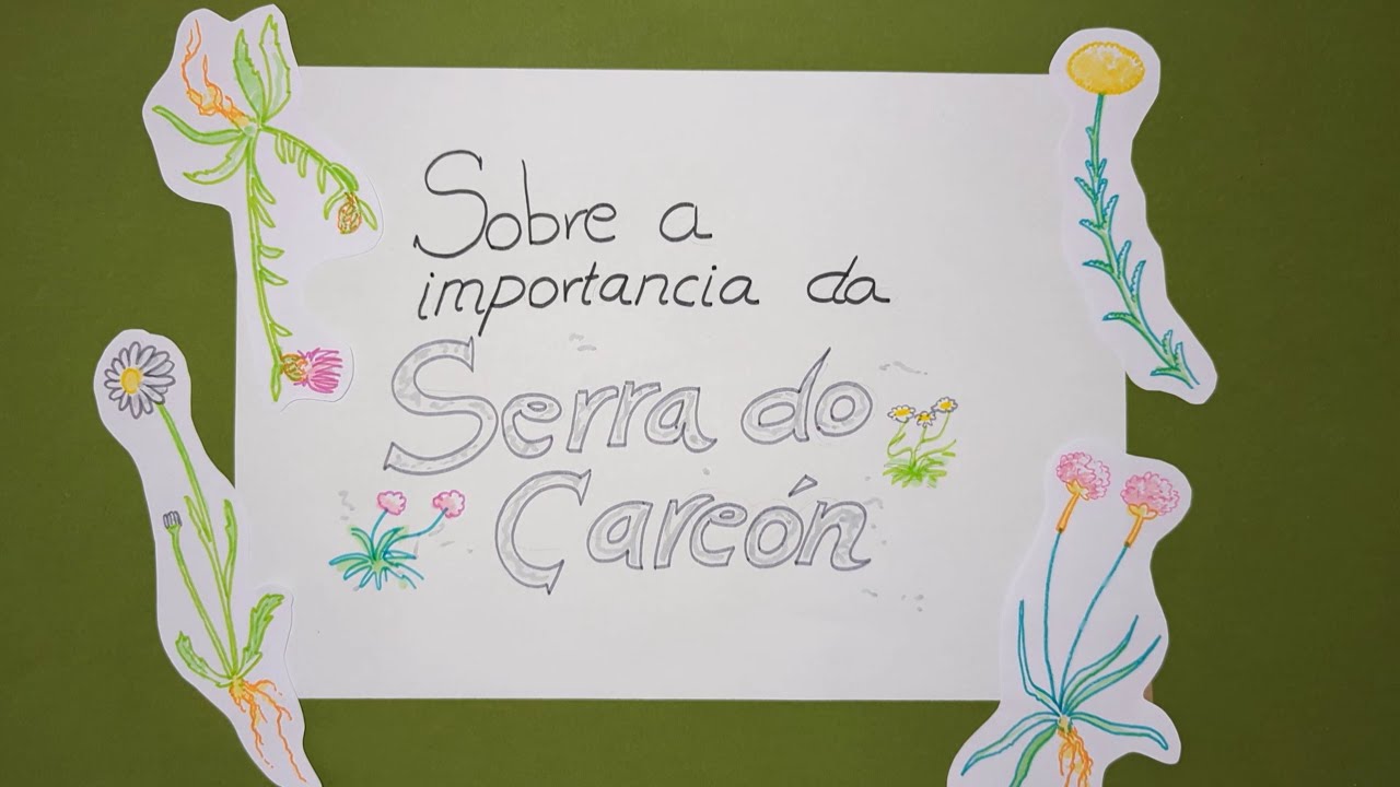 Sobre a importancia da Serra do Careón