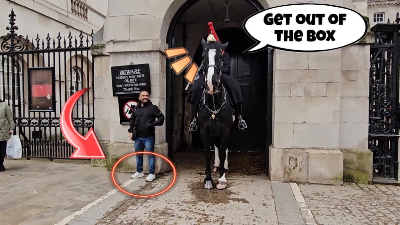 Tourist Steps Into Guard’s Box – Instantly Told to Move! 