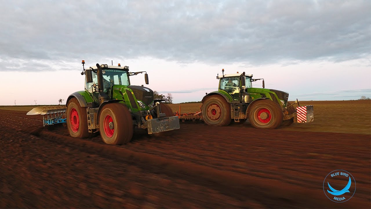 Preparing Land For Carrots 2020