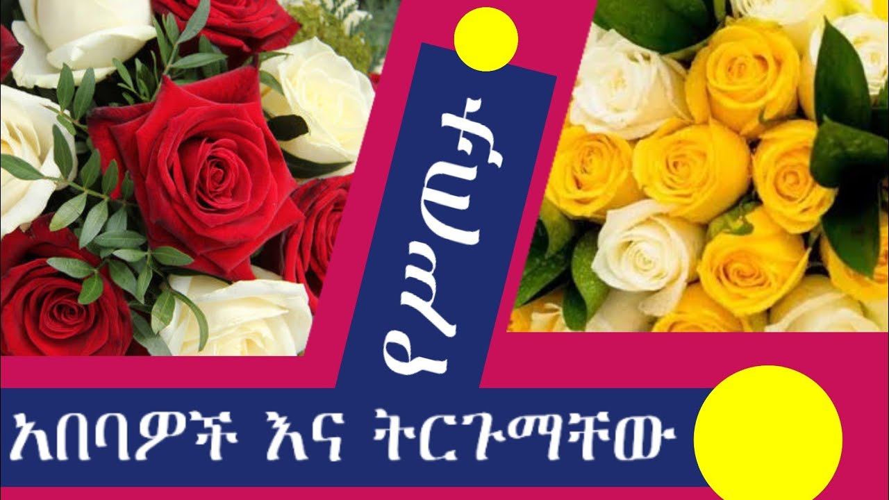 ብርሃን አንፀባራቂ አበባዎች፤ #ለስጦታነት የምንጠቀማቸው የአበባ አይነቶች ቀለም፣ ቁጥርና ትርጉማቸው..!! #አዲስ_አበባ #ጽጌሬዳ_አበባ #አዳነች_አበቤ #አቤ