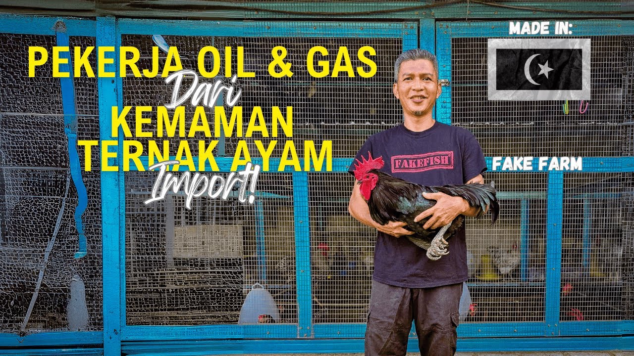 Pekerja Oil & Gas Dari Kemaman Ternak Lebih 10 Jenis Baka Ayam Import