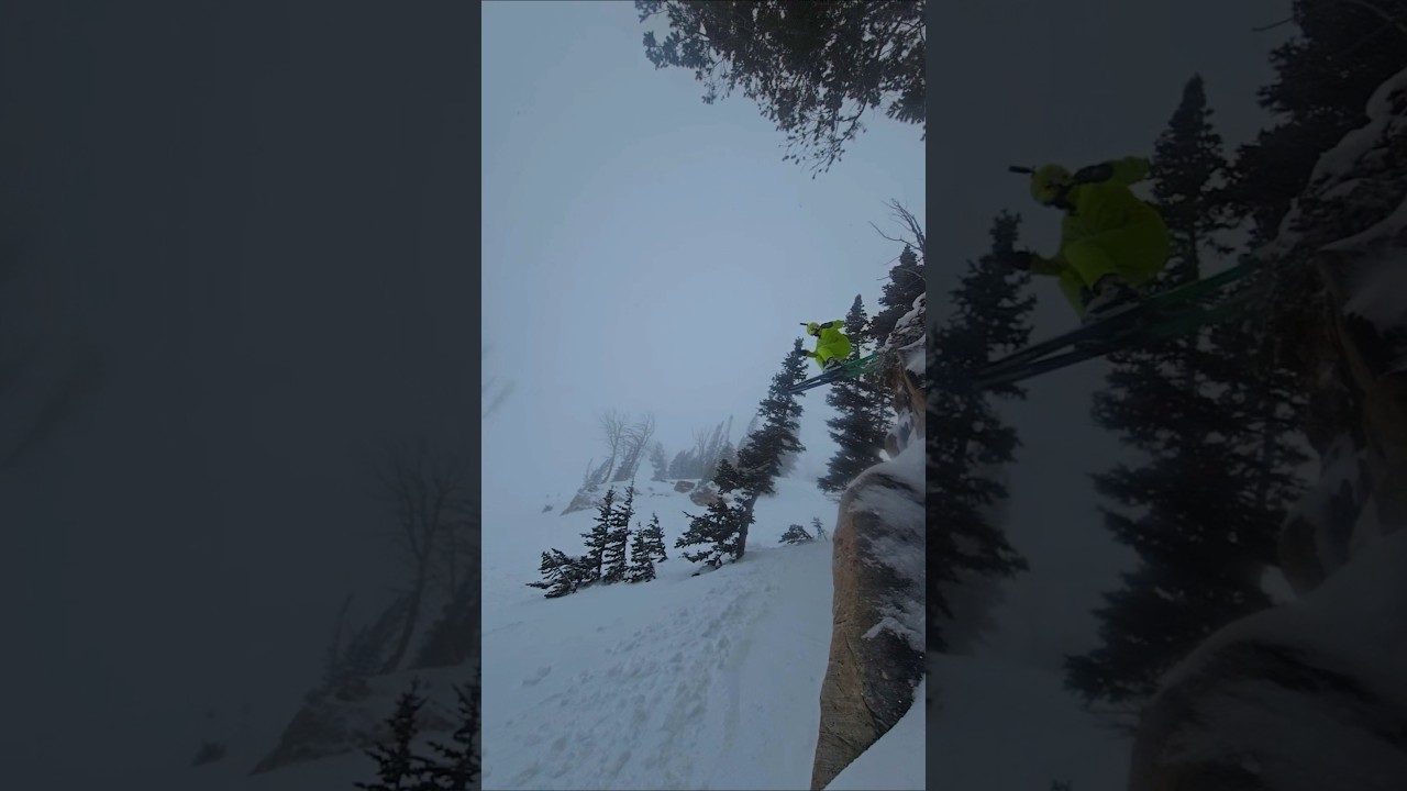 ❄️  Dreamy Drop ⛷️ 