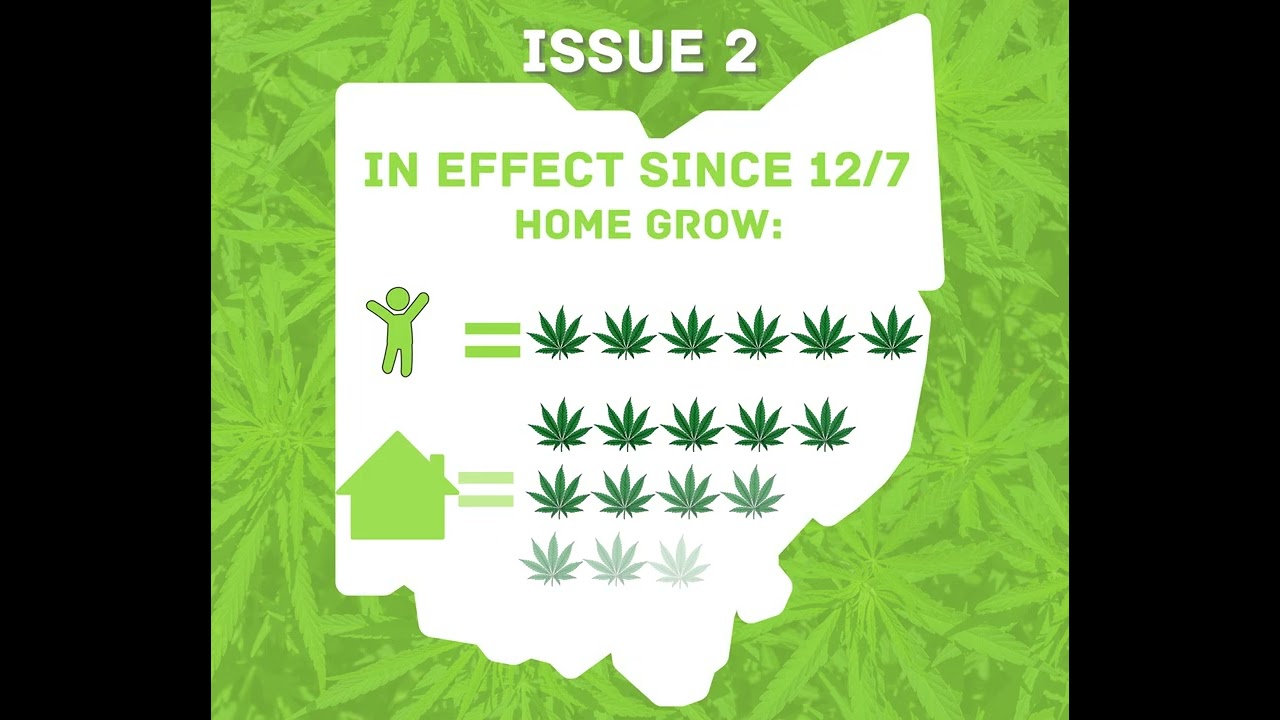 OHHIGHOHVision Weeducation cheat sheet to differentiate Ohio Issue 2, Senate Bill, HB 86, and HB 354