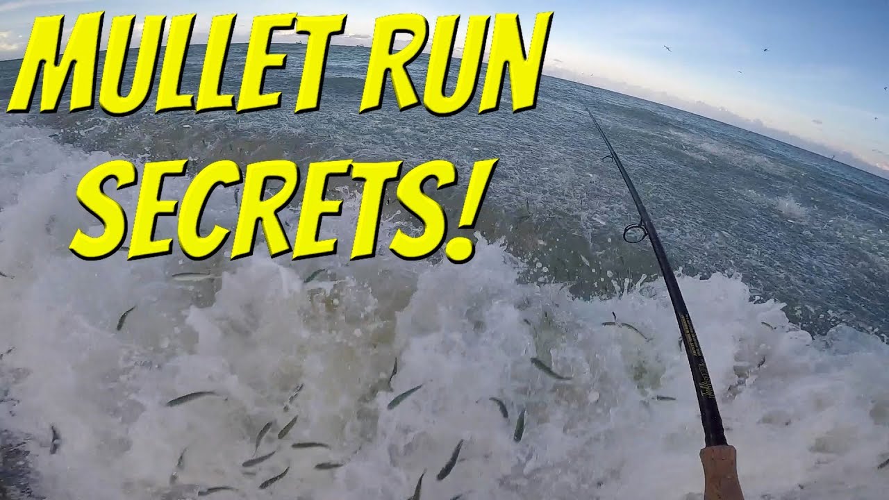 The SECRETS! To Fishing the Florida Mullet Run! (Tackle Tuesday)
