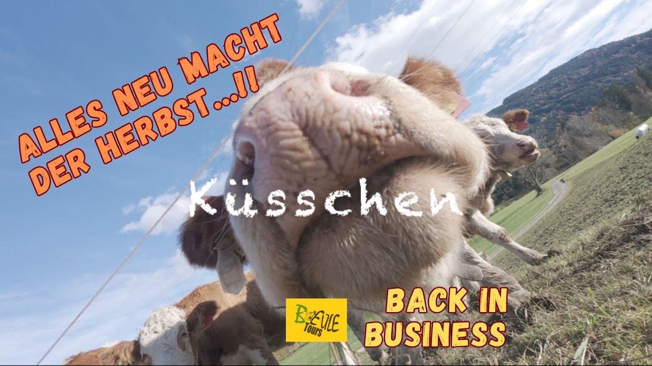 Was für ein Hack mit dem Mac - Wir sind wieder einsatzbereit...