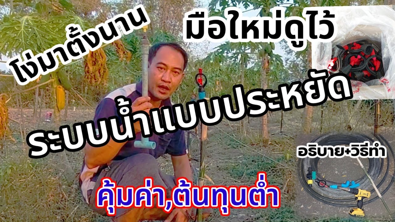 EP.3 เทคนิคการเดินระบบน้ำสปริงเกอร์ต้นทุนต่ำ(แล้วมันทำยังไง😳)ดูให้จบจะเข้าใจ🤔