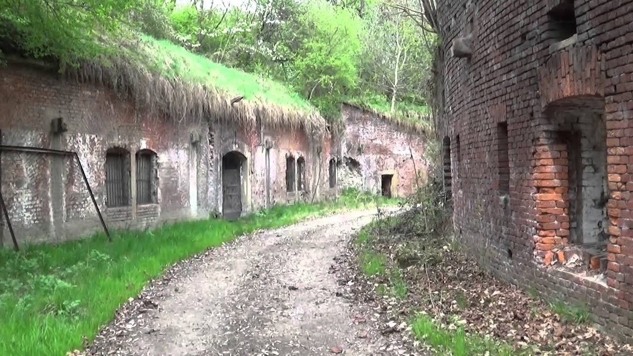 Fort reditowy 7 