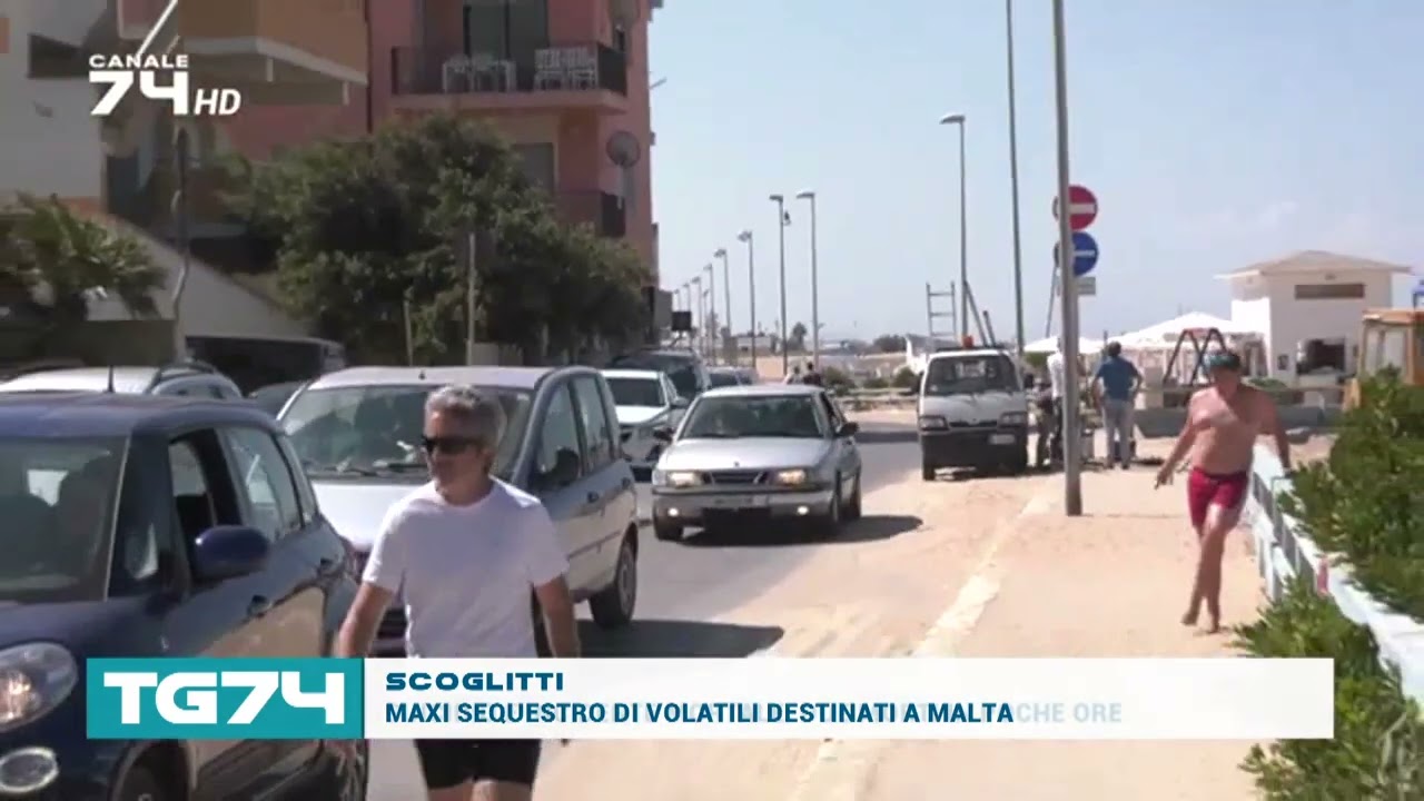 SCOGLITTI - MAXI SEQUESTRO DI VOLATILI DESTINATI A MALTA