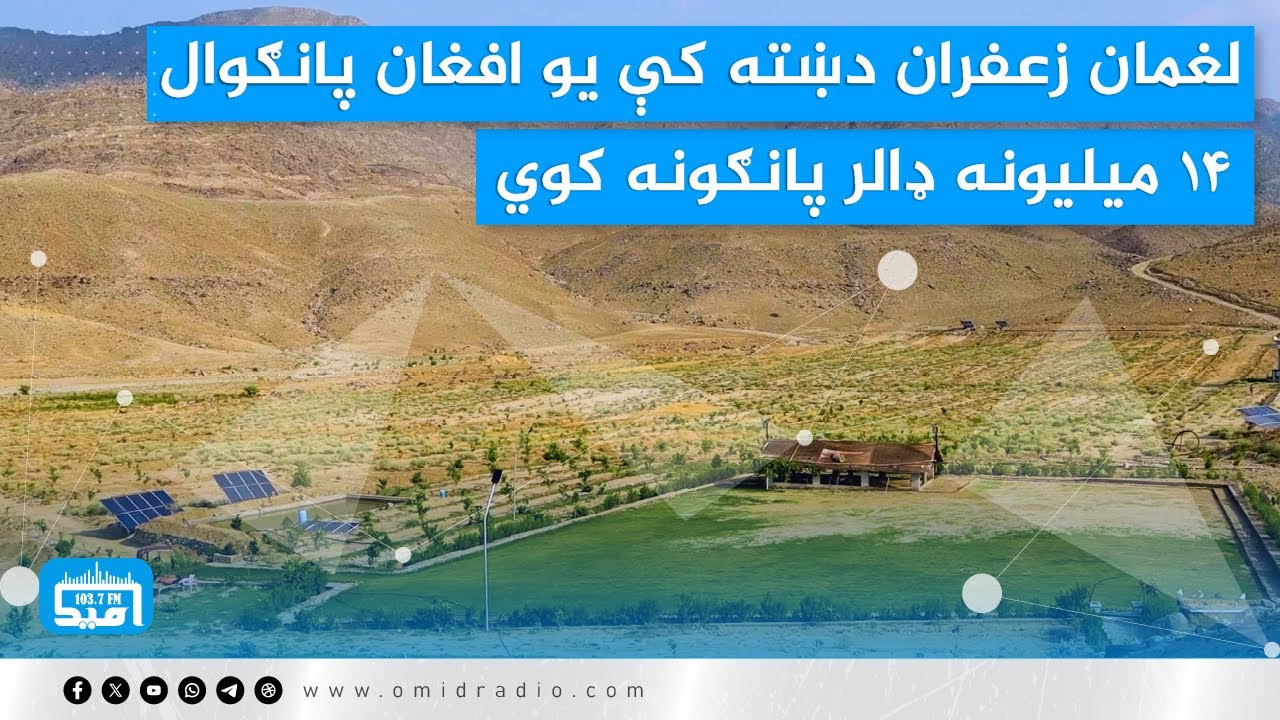 لغمان زعفران دښته کې یو افغان پانګوال ۱۴ میلیونه ډالر پانګونه کوي