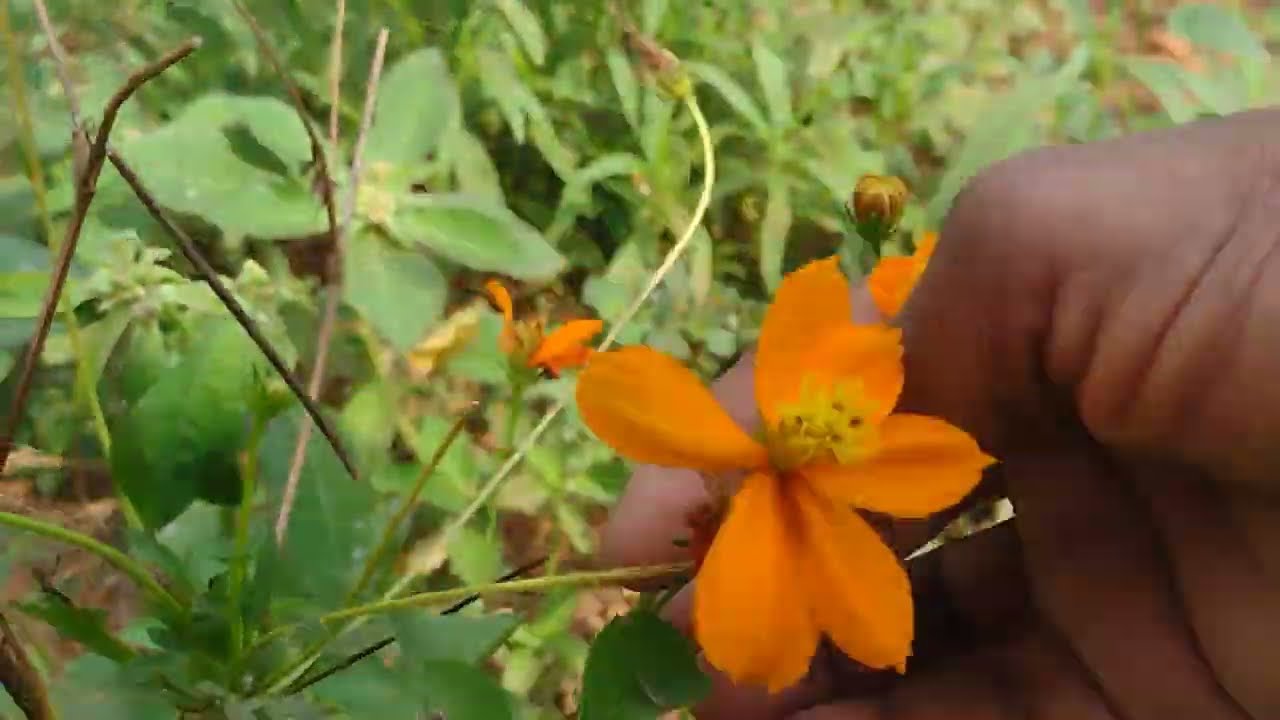 ஆதி என் கம்பெனியை காப்பாற்றிய பாரதி 24 பிப் 