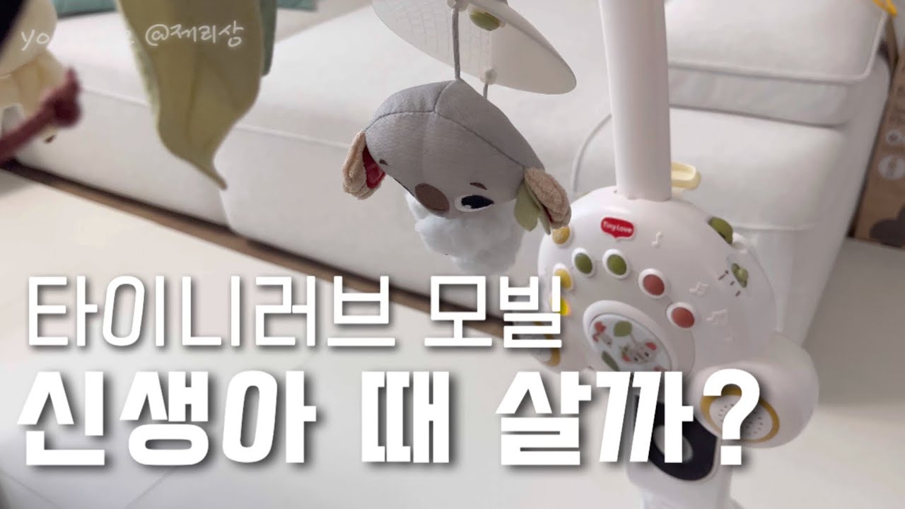 타이니러브 모빌 보호시크, 신생아 필수일까?