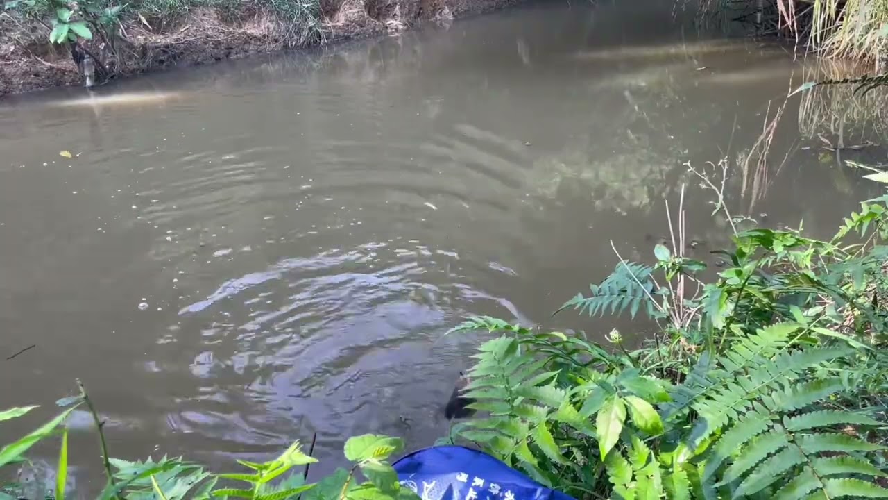Chàng trai vào suối câu cá vào 1 ngày trời nắng đẹp . @