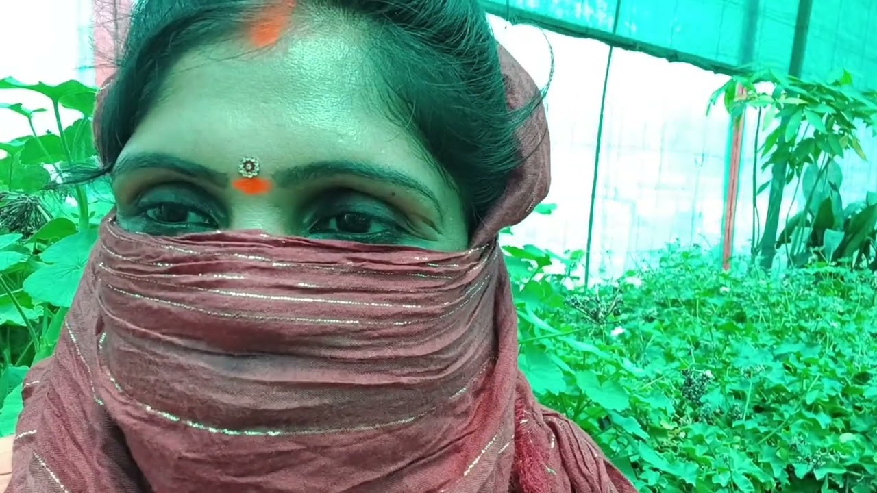 Gorakhpuriyabouji आप टेंशन  मत लिया करो #plants #homegarden #homegarden #gorkhapuriyabhauji #garden