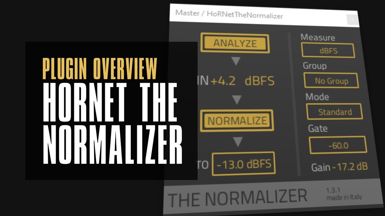 The Normalizer by Hornet / Auto Gain Staging - every daw should have this