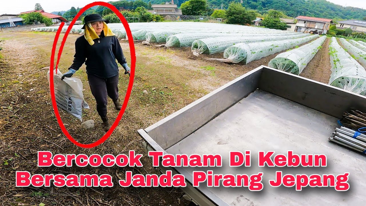 Kerja Dengan Janda Pirang Jepang Sambil Bercocok Tanam