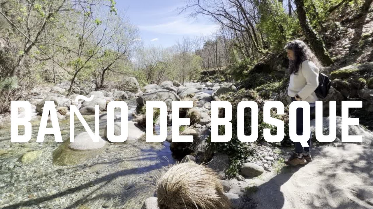 ¿Cómo hacer un Baño de Bosque? Te lo contamos desde el Valle del Tiétar