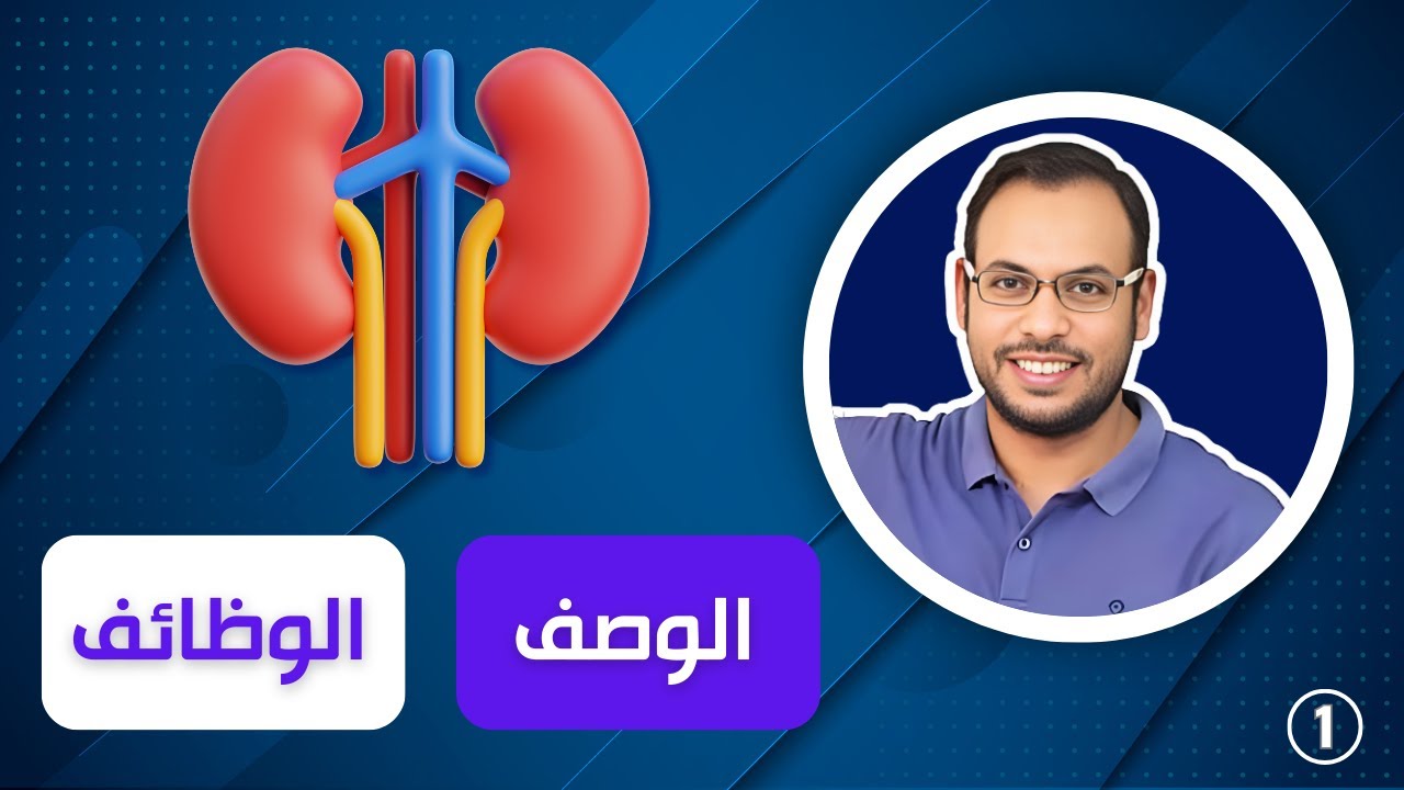 Эпизод (1) | Гемодиализ | Информация о почках (Описание - Компоненты - Функции)