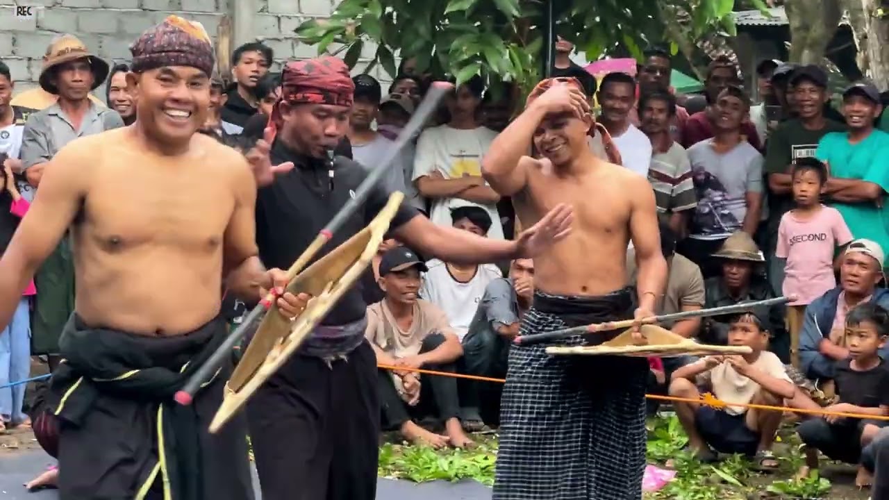 SALING AMUK🔥TOPAN SEJAGAT VS BANTENG NGAMUK // PERESEAN DESA BAKAN