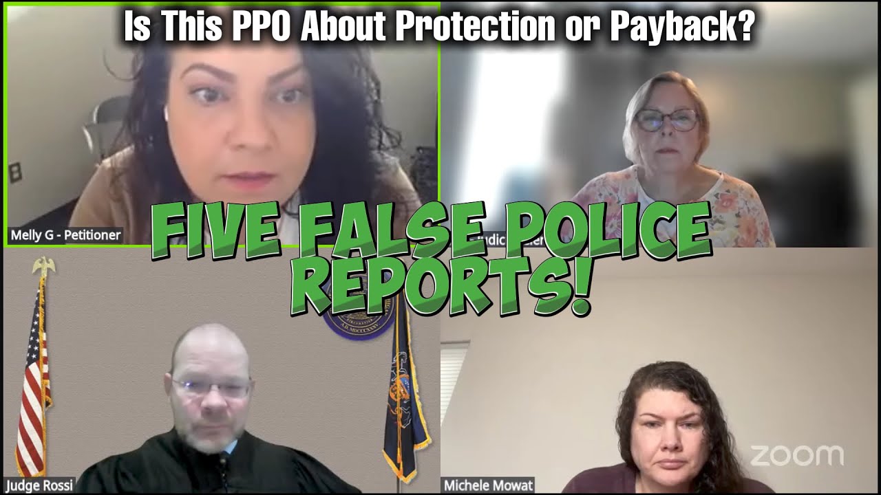 Five False Police Reports! – Is This PPO About Protection or Payback?