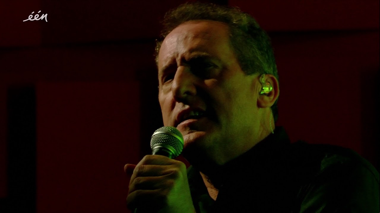Orchestral Manoeuvres in the Dark: One More Time