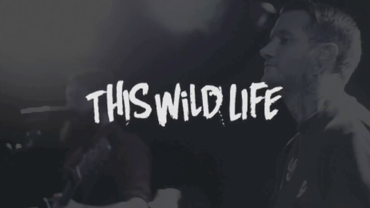 Bandzest meets This Wild Life