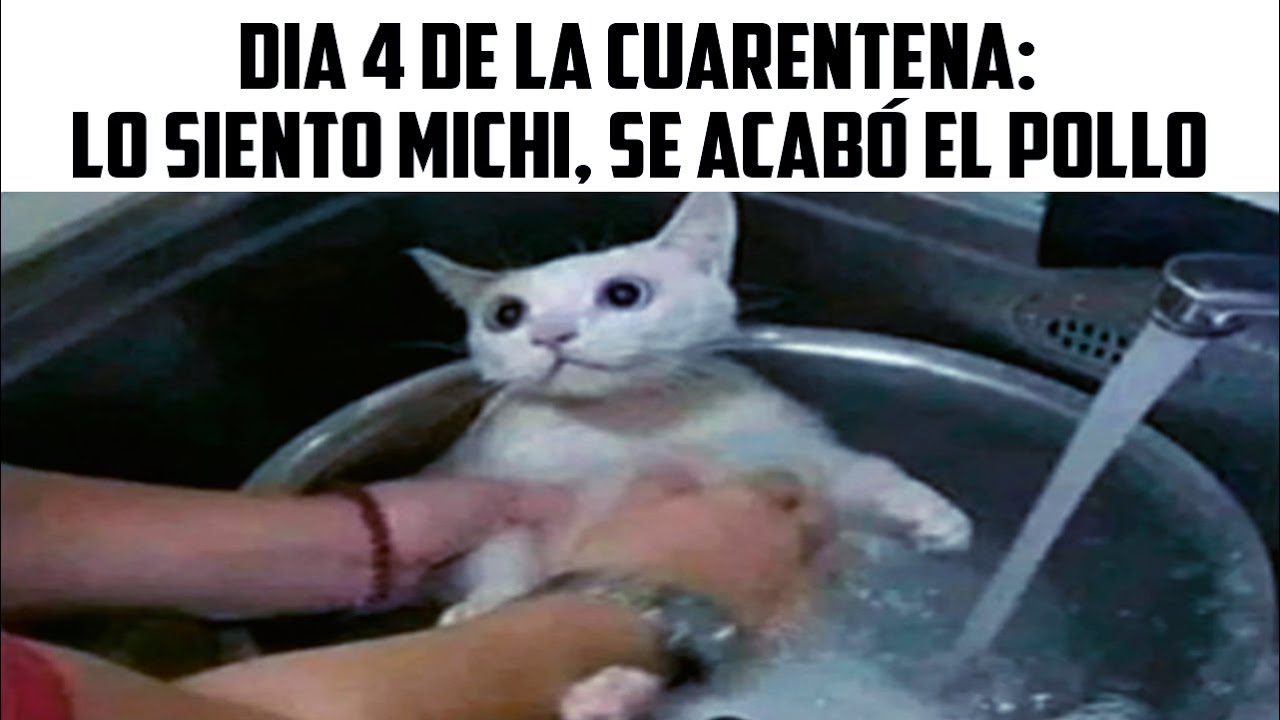 MEMES DE LA CUAR3NT3NA #2 😷