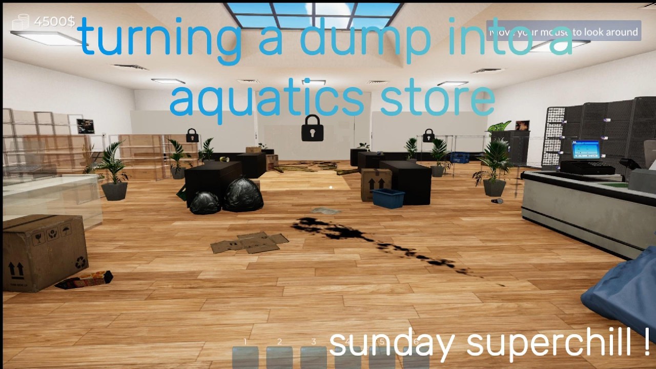 lets try aquatic store simulator  (Sunday superchill)