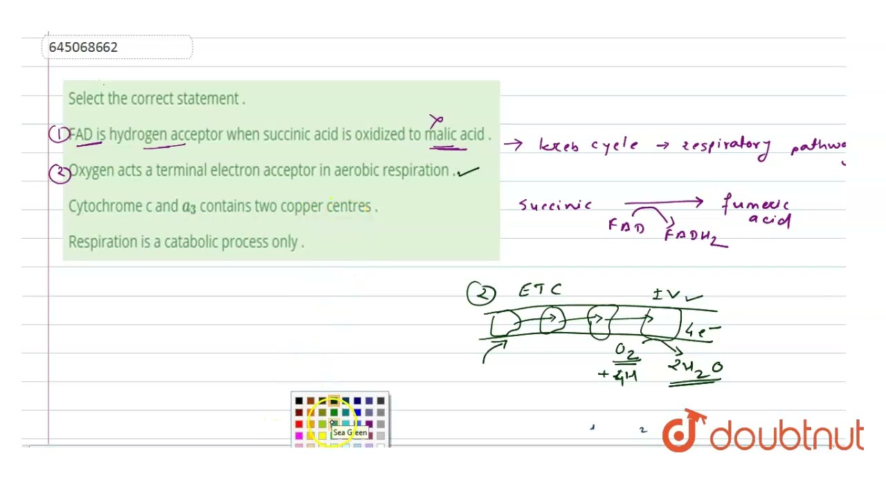 Select the correct statement .  | 12 | NTA NEET SET 29 | BIOLOGY | NTA MOCK TESTS ENGLISH | Doub...