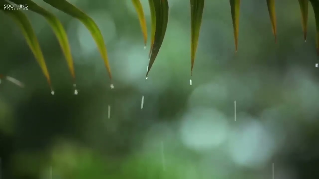 You & Me  Relaxing Piano Music & Soft Rain Sounds For Sleep & Relaxation