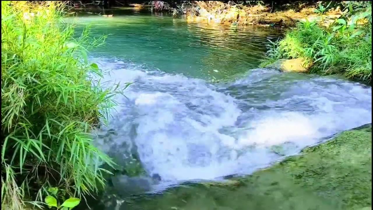 Forest Sounds Water Flowing Bird Sounds, Relaxing Sleep, 