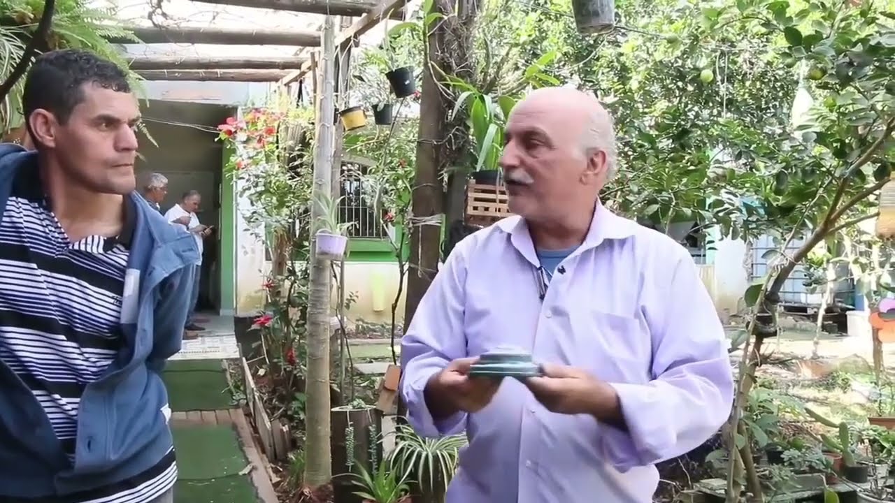 Calcário E Cal virgem Entenda