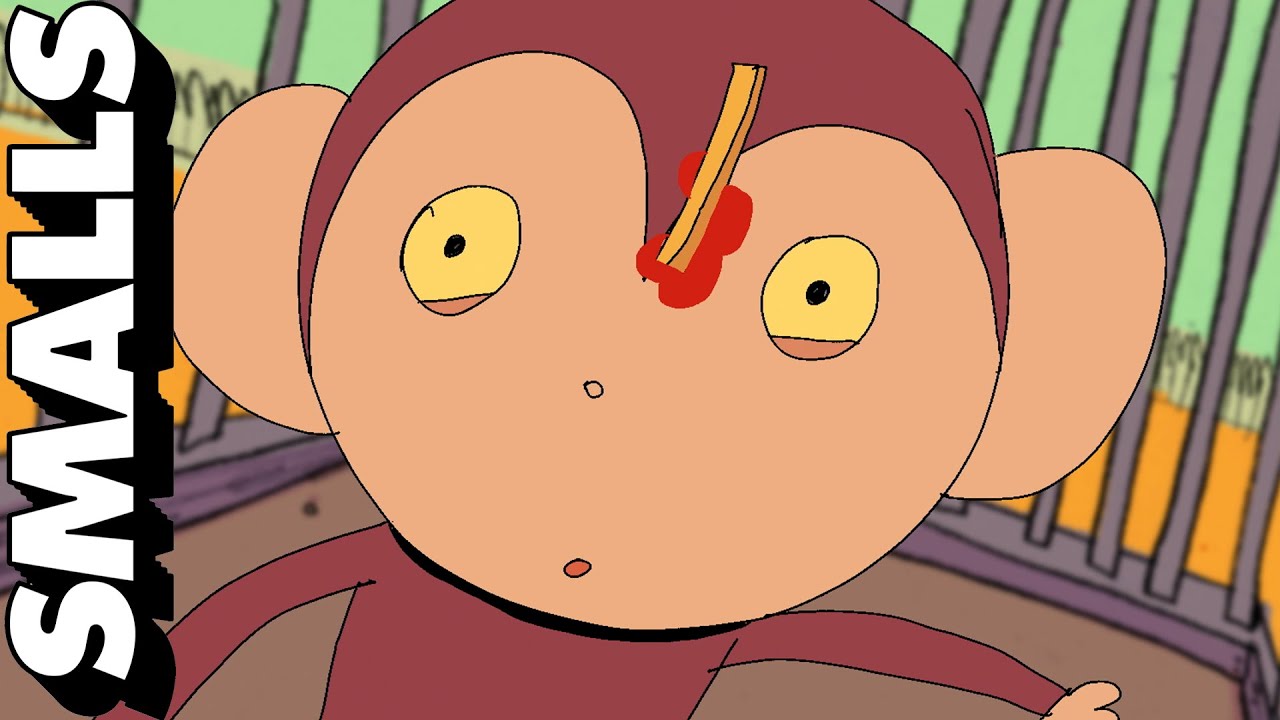 BOBO THE MONKEY | adult swim smalls