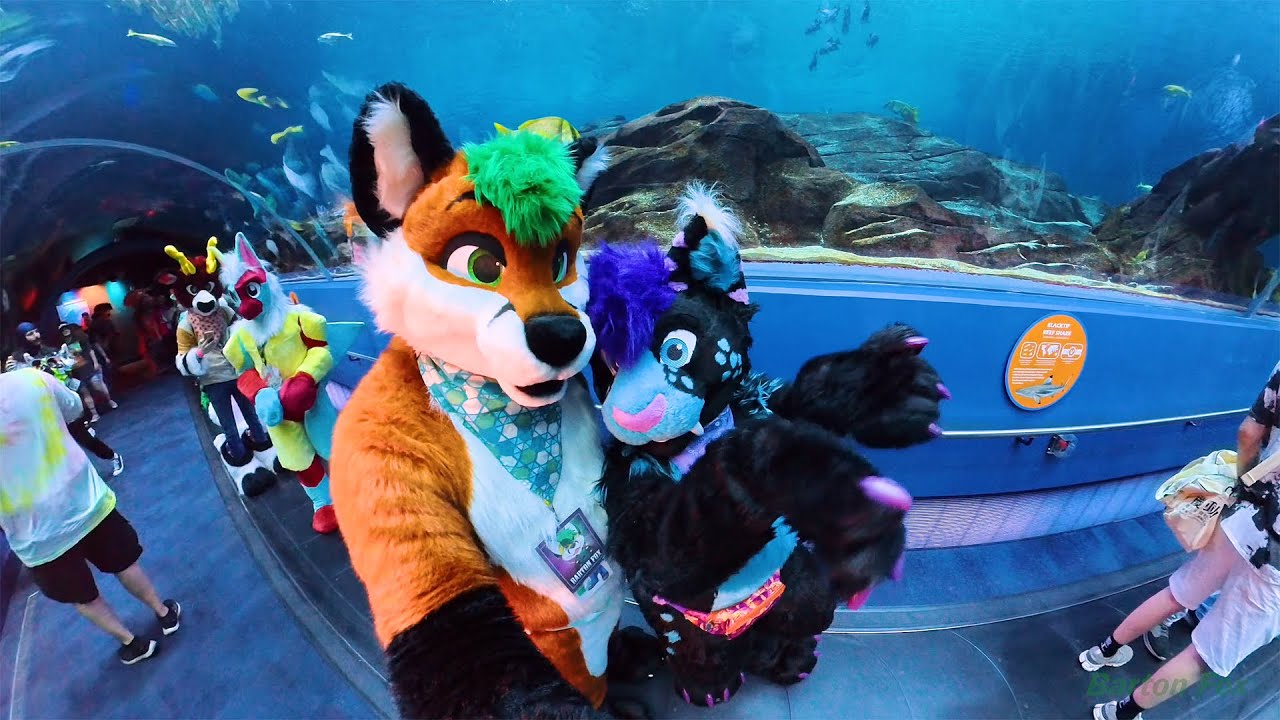 Furry Weekend Atlanta 2025 (FWA 2025) — случайные клипы