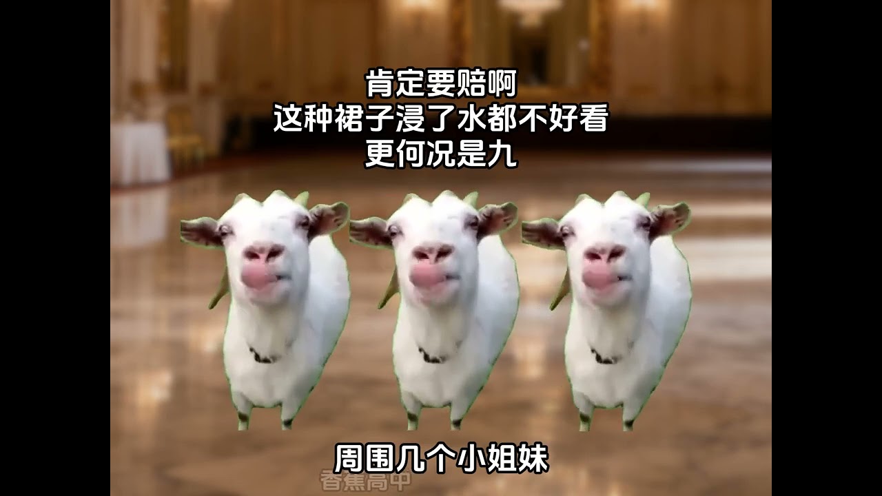 自己窮的沒飯喫，耗子還要偷我的米 #貓meme #貓meme故事 #貓meme小劇場 #貓meme日