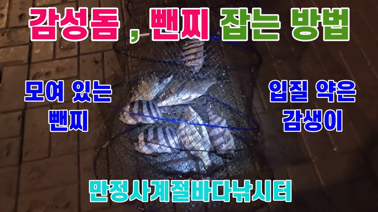 [유터낚시] 영종도 만정사계절 바다낚시터 감성돔, 뺀찌 잡는 법. 주요 포인트, 채비 및 챔질 타이밍은? ( 4월 20일 출조 )