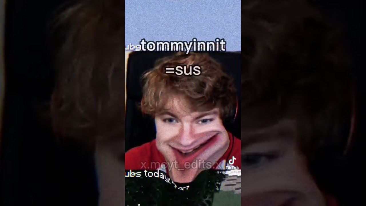 Mcyt tiktoks that made me wheeze like Dream