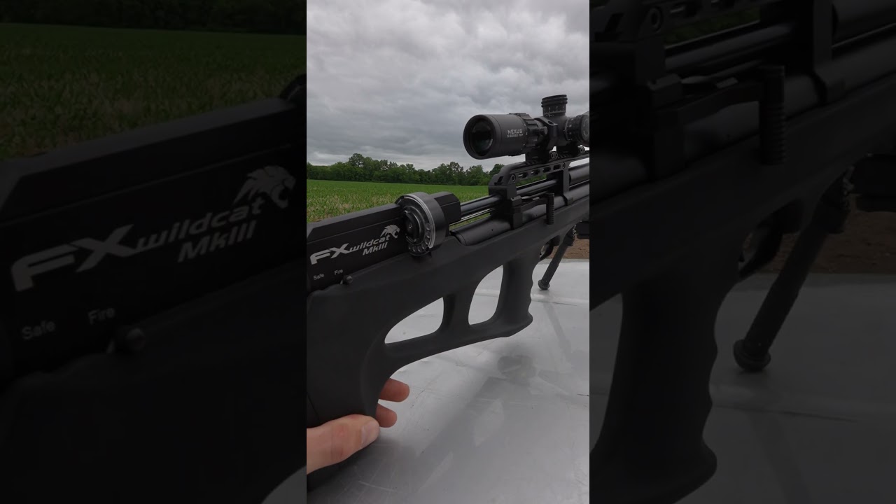 $1,400 vs $2,500 Air Rifle! #airgun #airgunning #gun #airrifleshooting #shorts