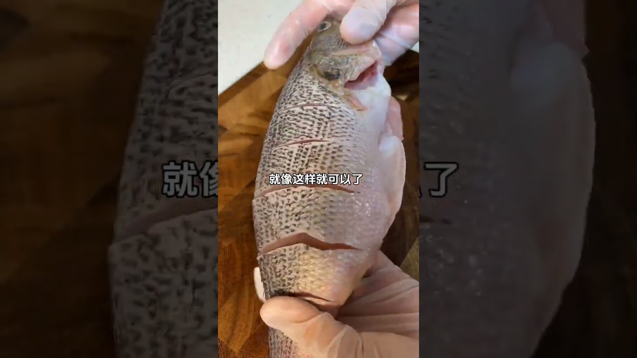 Clean Fish Like a Pro First Catch, First Clean! 🦈🐟 Part 2 