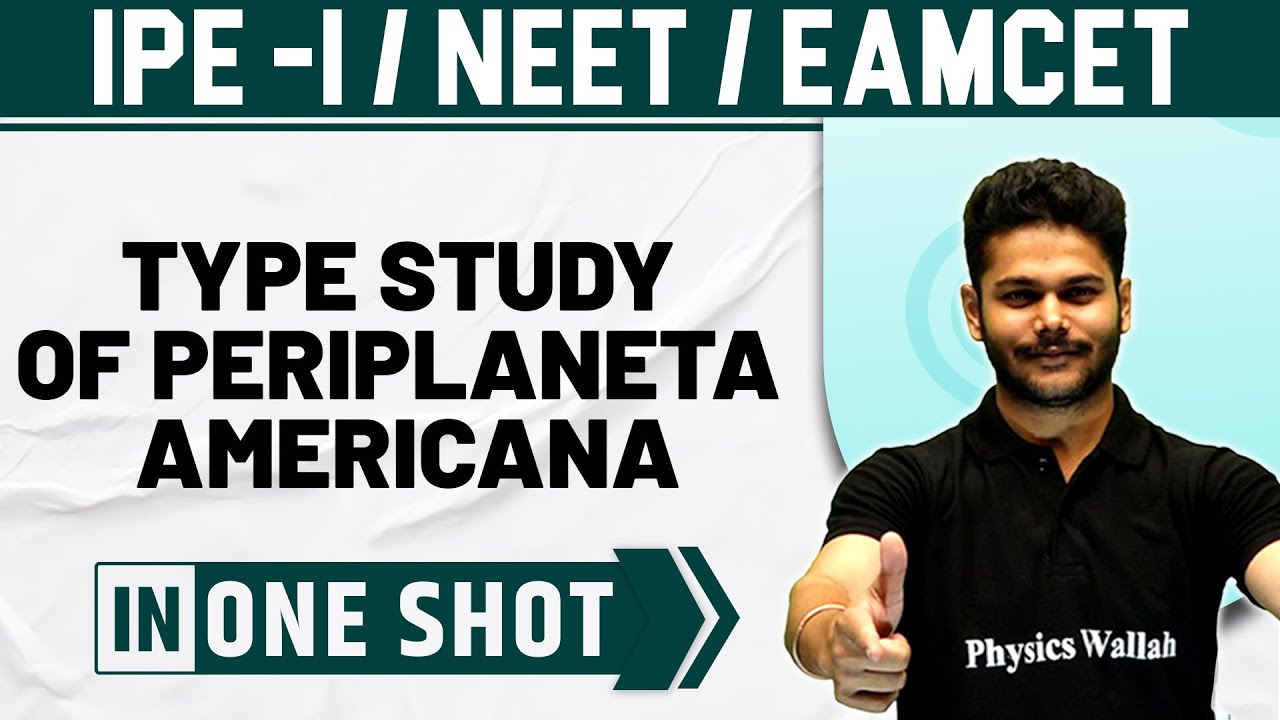 TYPE STUDY OF PERIPLANETA AMERICANA (COCKROACH) | One Shot | Zoology | Class 11 / NEET / EAMCET