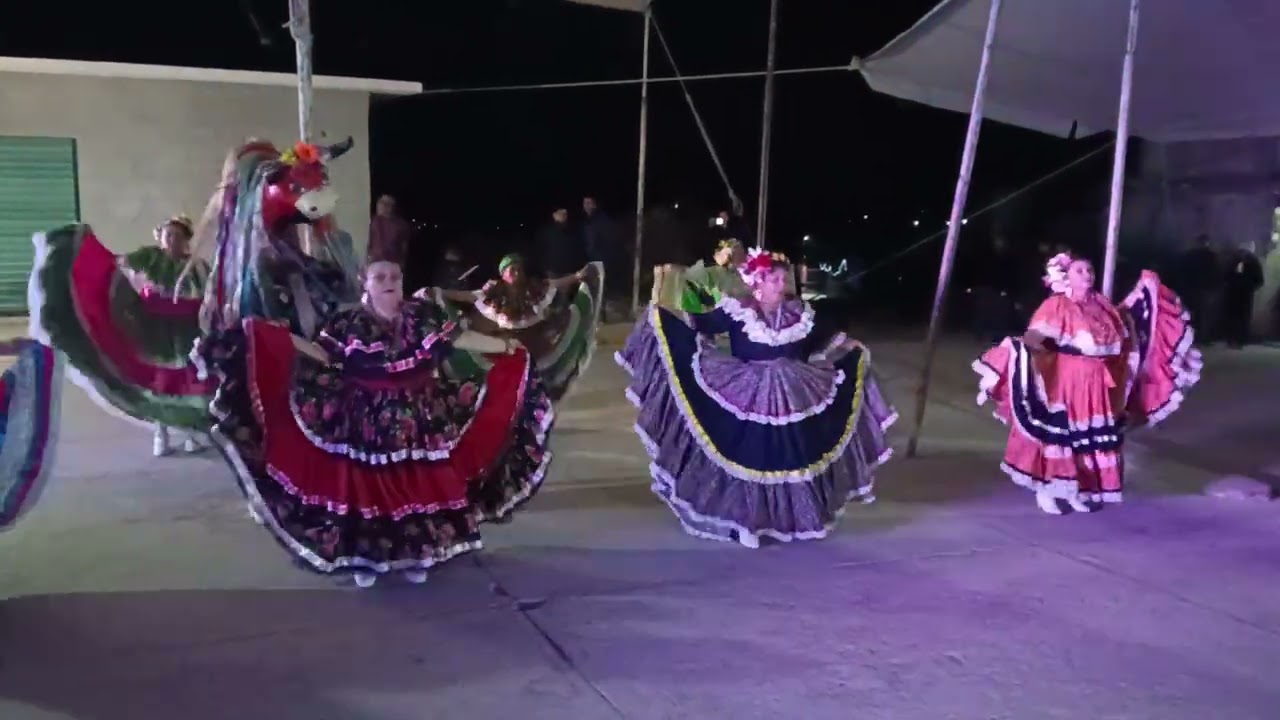 TORO MAMBO (ACELOTLA)