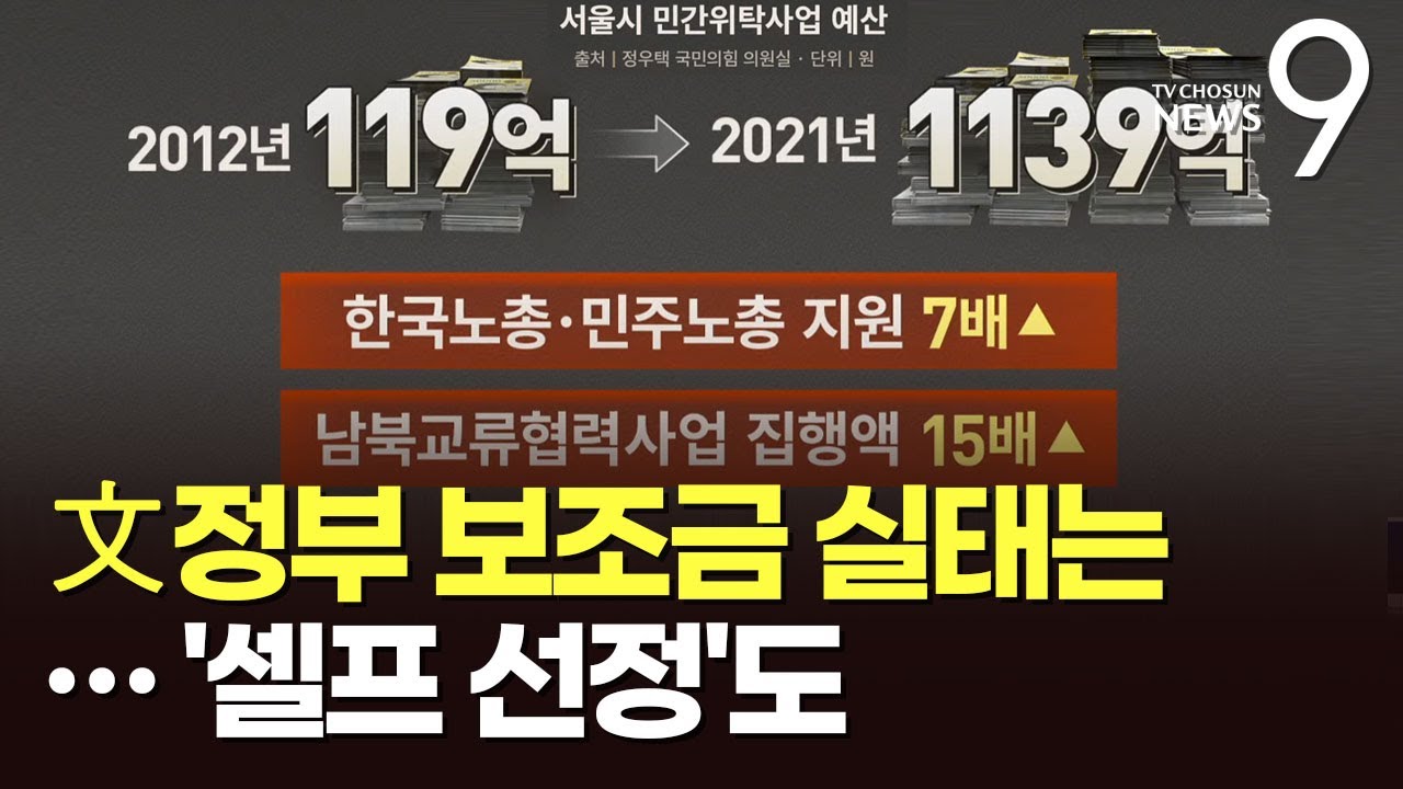文정부 보조금 실태는…시민단체 출신이 '셀프 선정'도