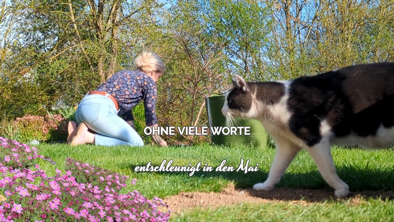 OHNE VIELE WORTE | ENTSCHLEUNIGTER START IN DEN MAI