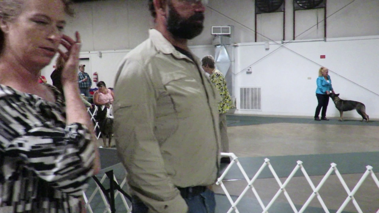 UKC HRKC Conformation Show May 5, 2017 - 1st show