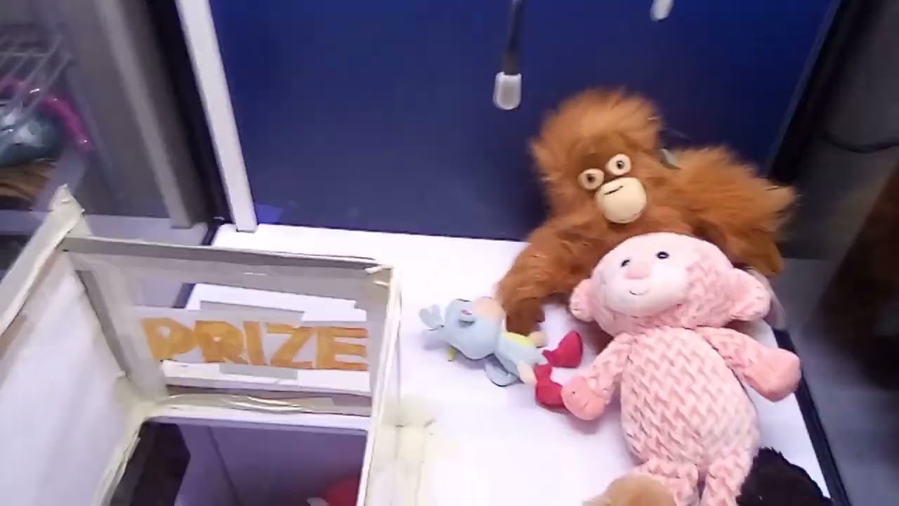 My Own Monkeys & Apes Claw Machine!