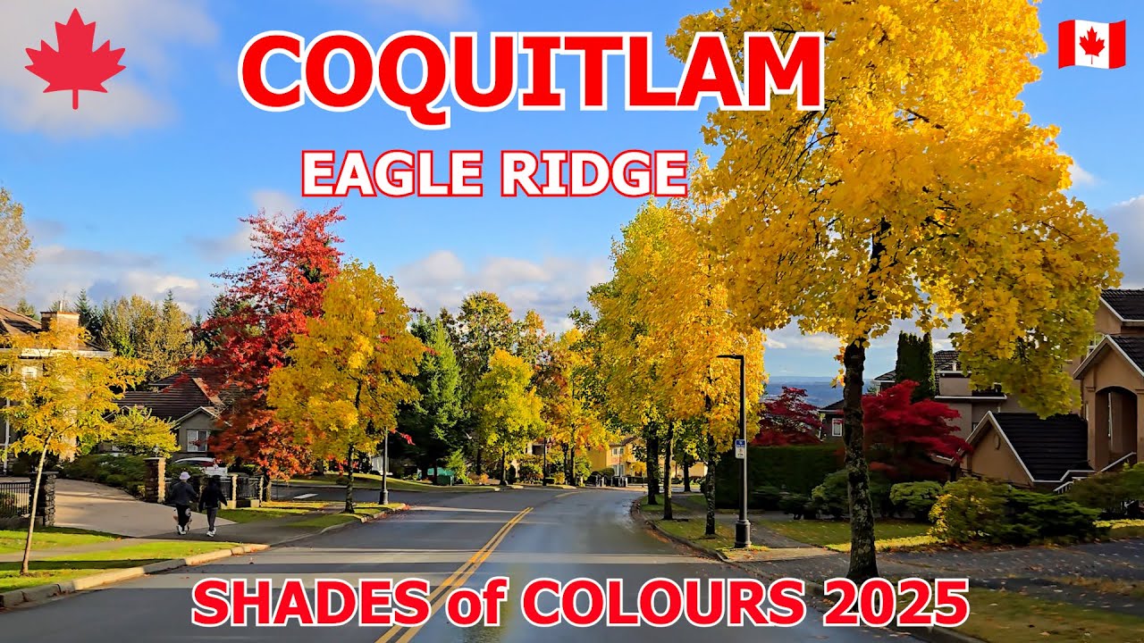 Eagle Mountain / Eagle Ridge COQUITLAM BC CANADA - 4K Drive in Autumn Colours 2025