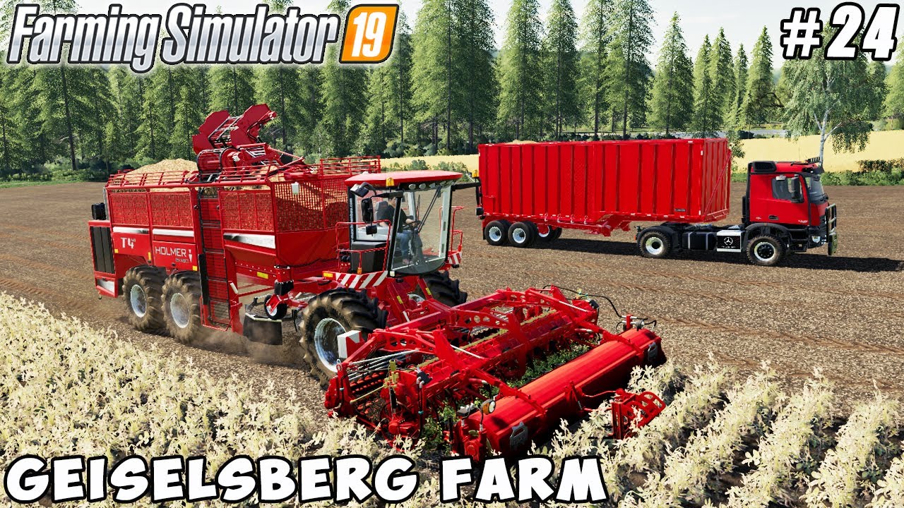 Harvesting potatoes with new harvester and truck | Geiselsberg Farm | Farming simulator 19 | ep #24