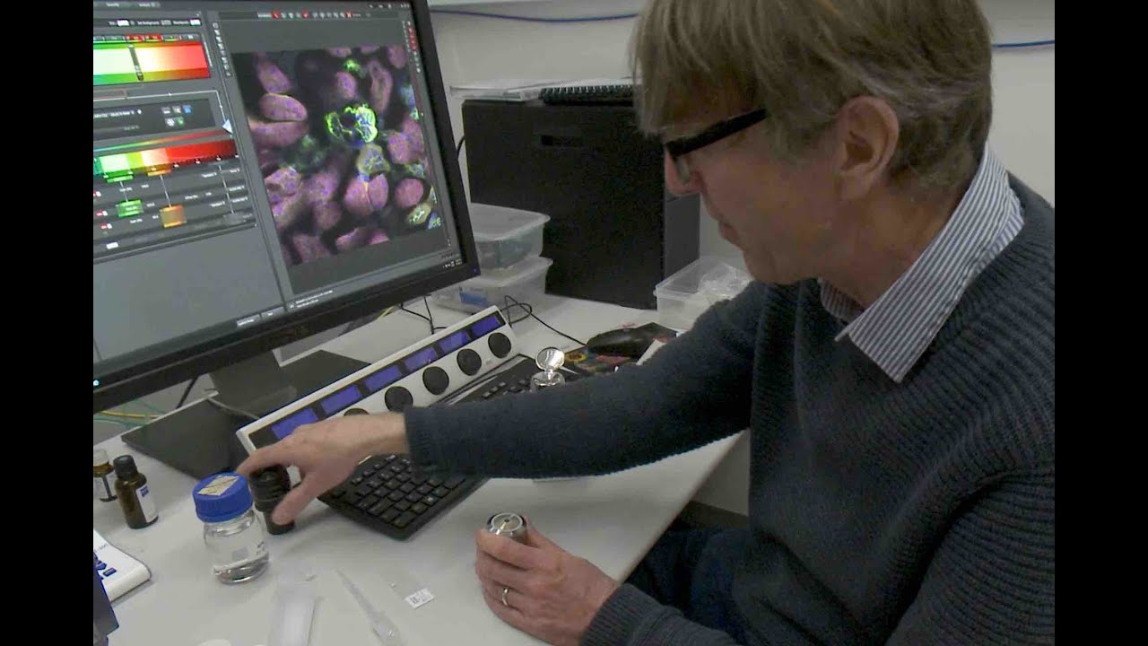 Meet the Light Microscopy Facility – LMB@60
