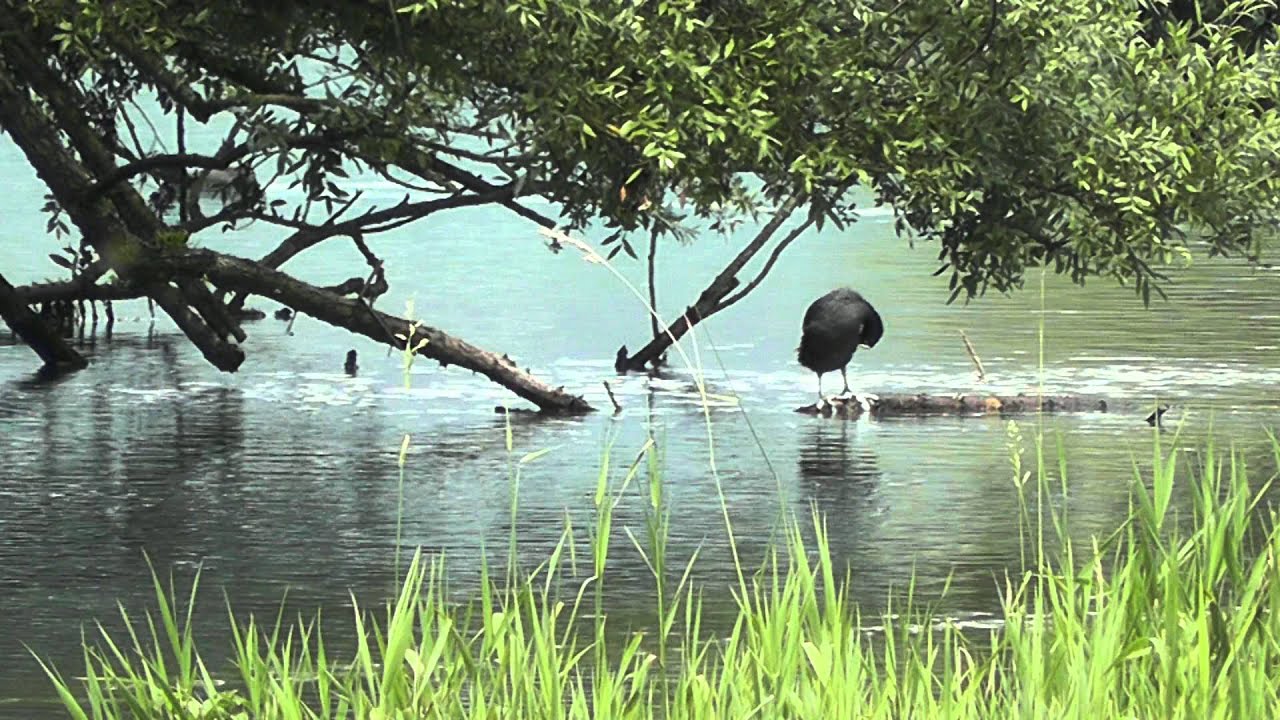 Lago di Posta Fibreno
